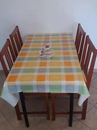 Markov * Vinisce