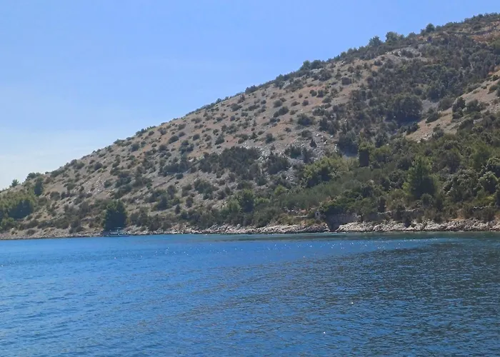 Markov Vinišće